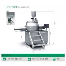 HLSG-300P自动高效湿法制粒机（混合）