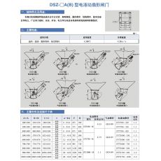 DSZ- □ A （ B ）型 电液动扇形闸门