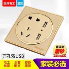 86型家装圆形磨砂金五孔双US手机充电带2个USB