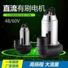 48V60V有刷直流潜水泵户外农业灌溉电动车抽水泵