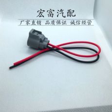 汽车防水连接器 线束 防水接头2P接插件 DJ7021Y-4.8-21